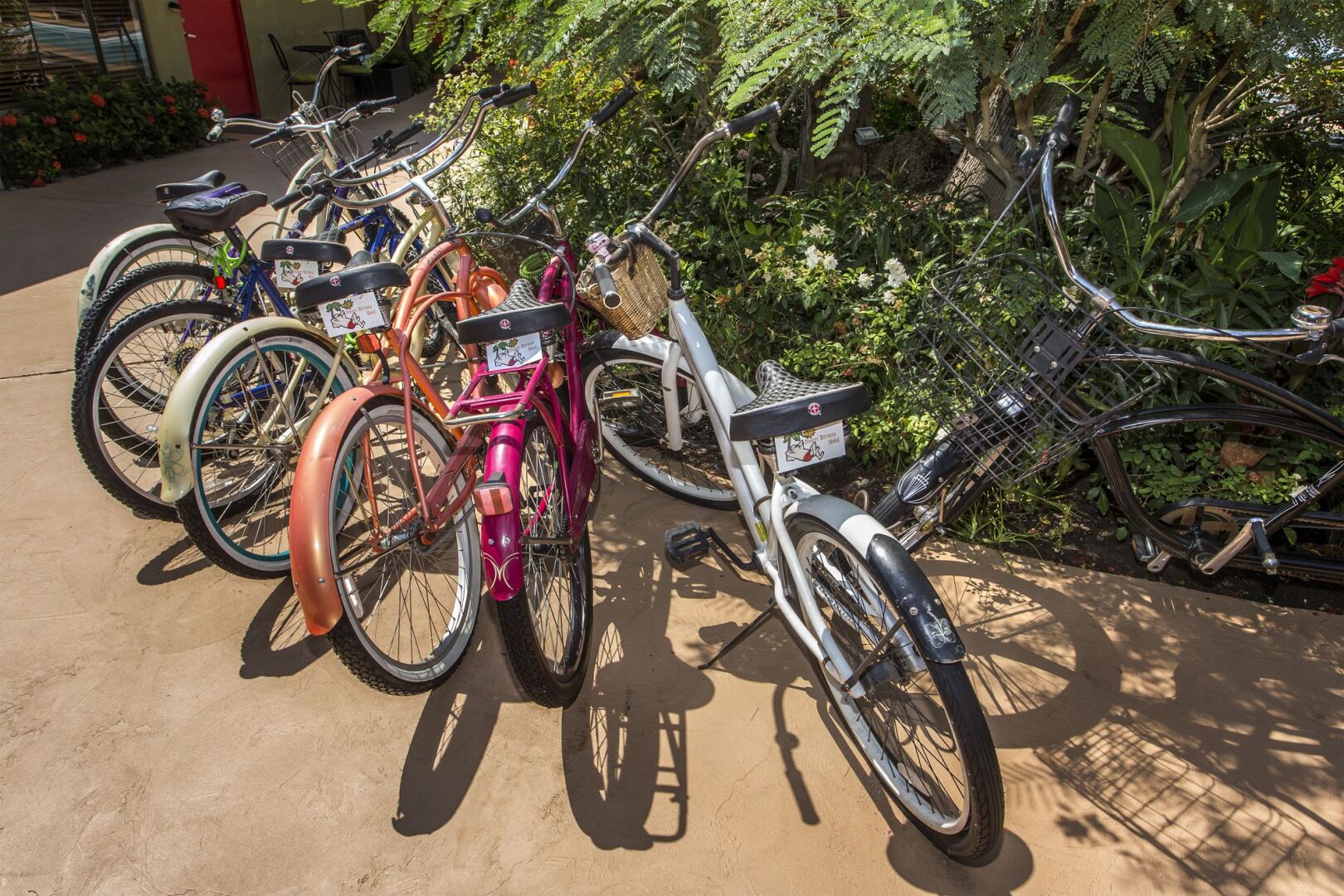 Desert Riviera Hotel