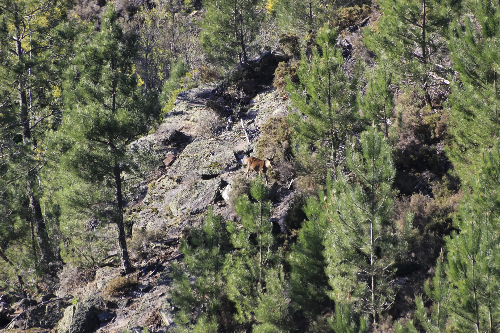 Residencial Martinho