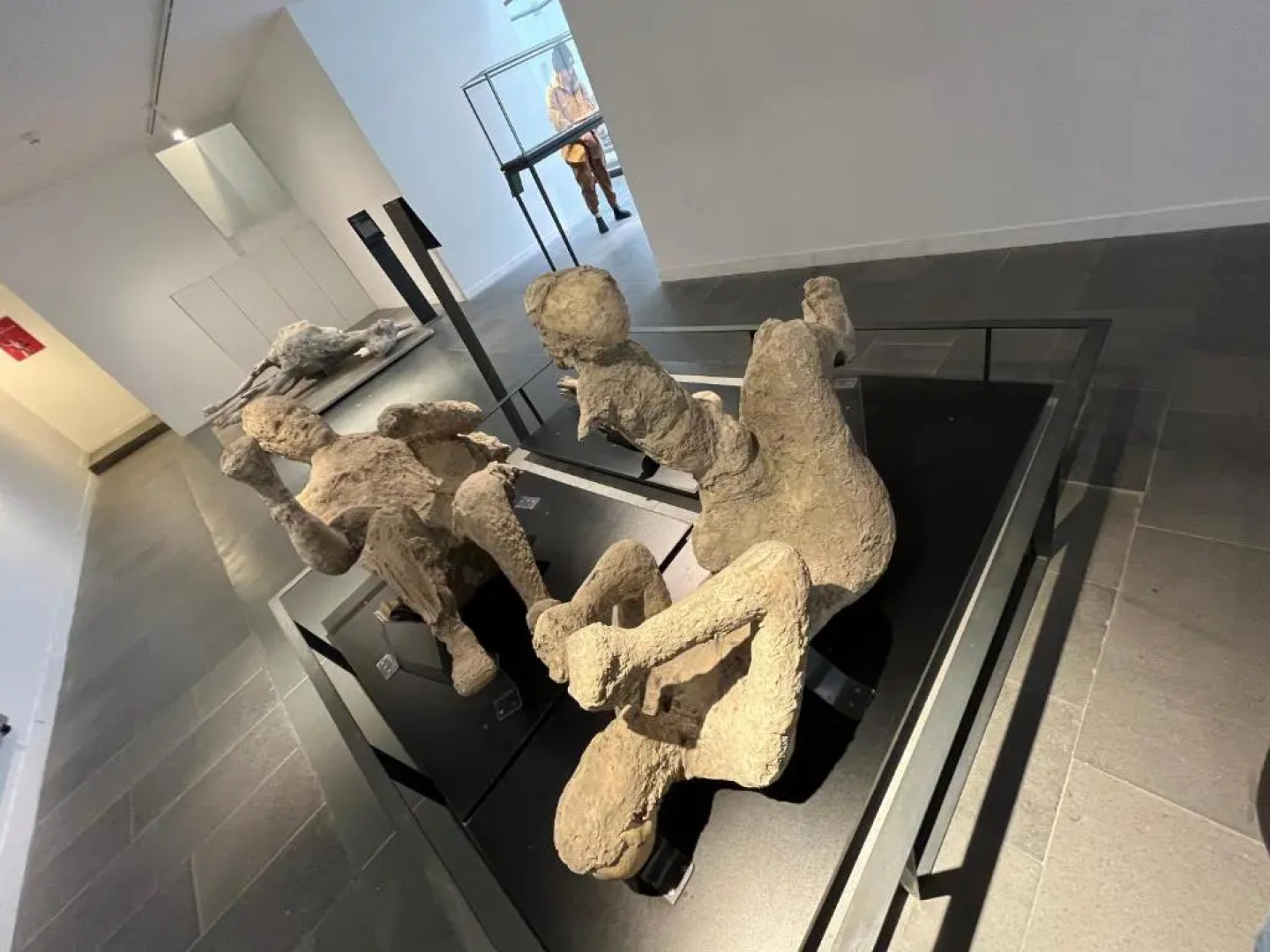 B&B Simplicity 10 MIN from POMPEI