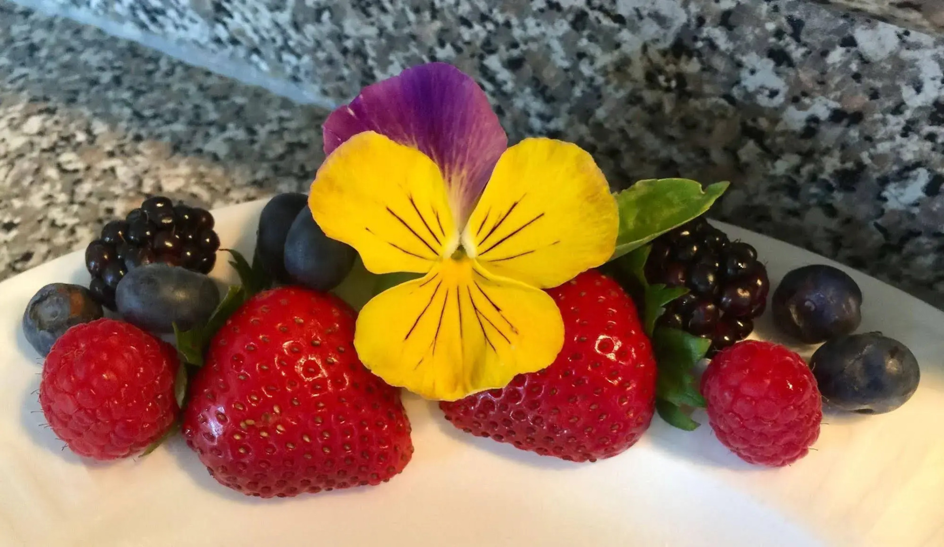 Serenity Ranch Bed & Breakfast