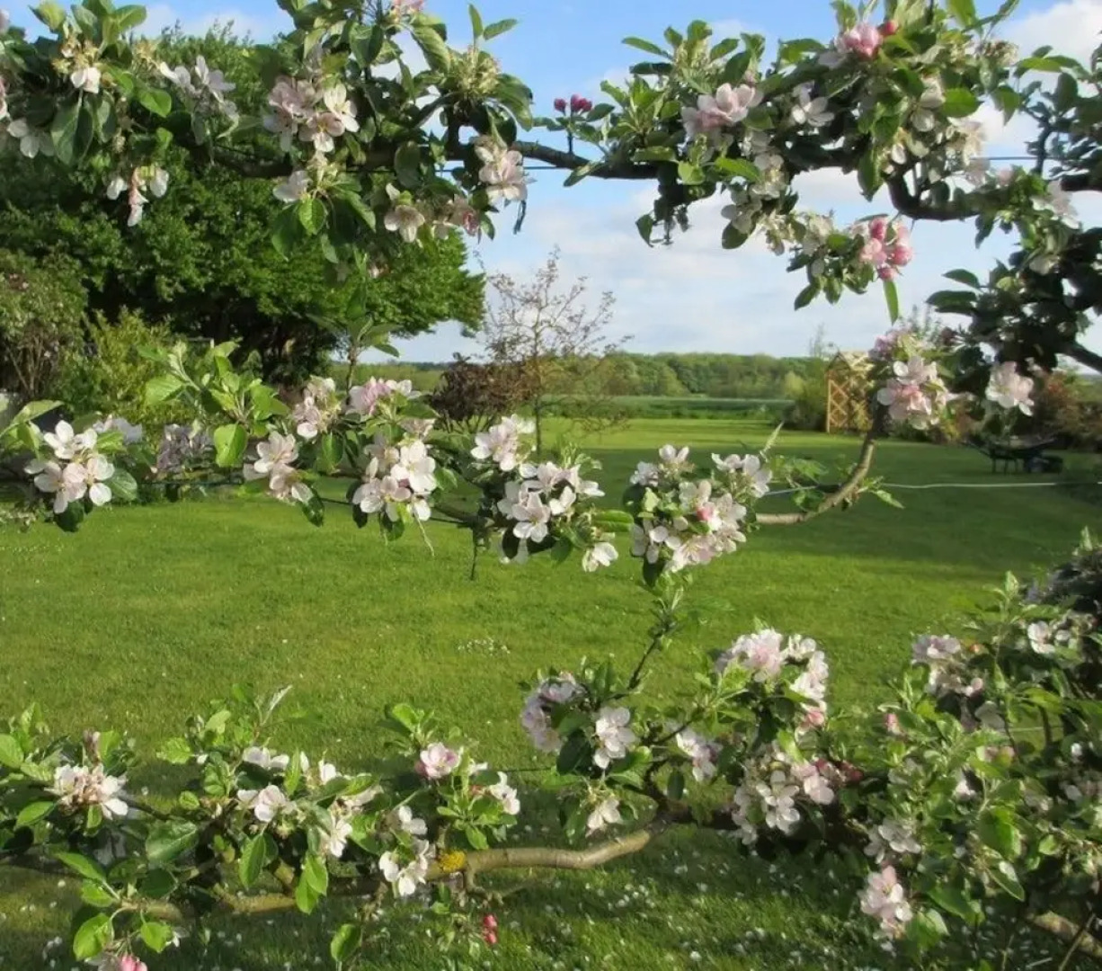 Drinkstone Park Bed And Breakfast