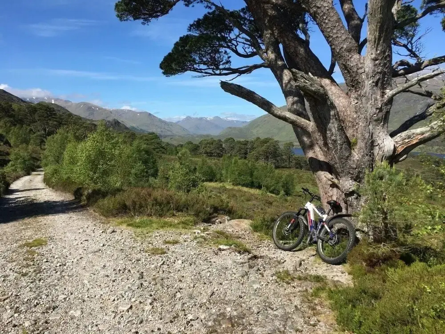 Tomich Holidays Courtyard Cottage