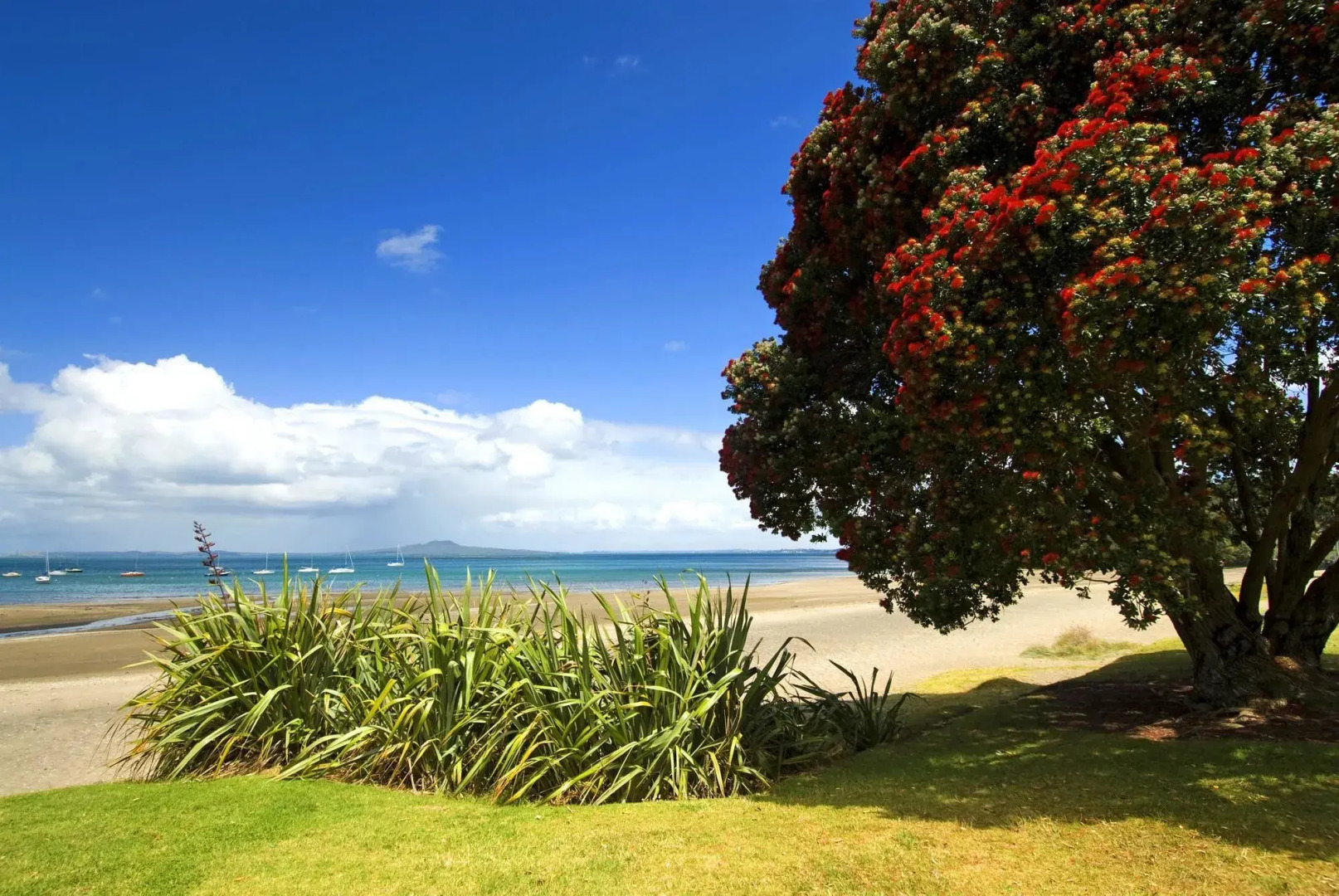 Ramada Suites Auckland, Federal Street