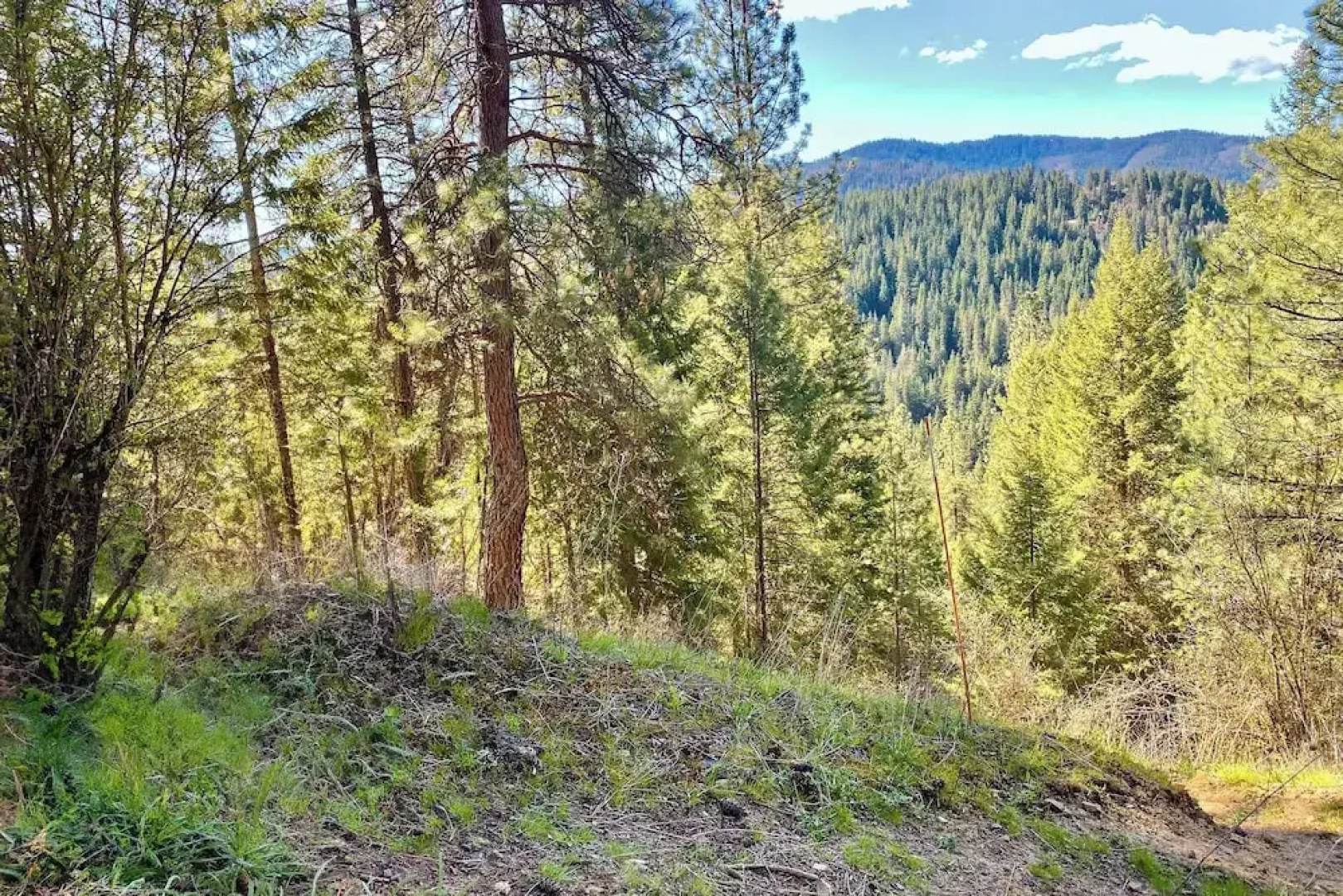 Unique 40 Acre Nature Retreat w/ Trails & Views!