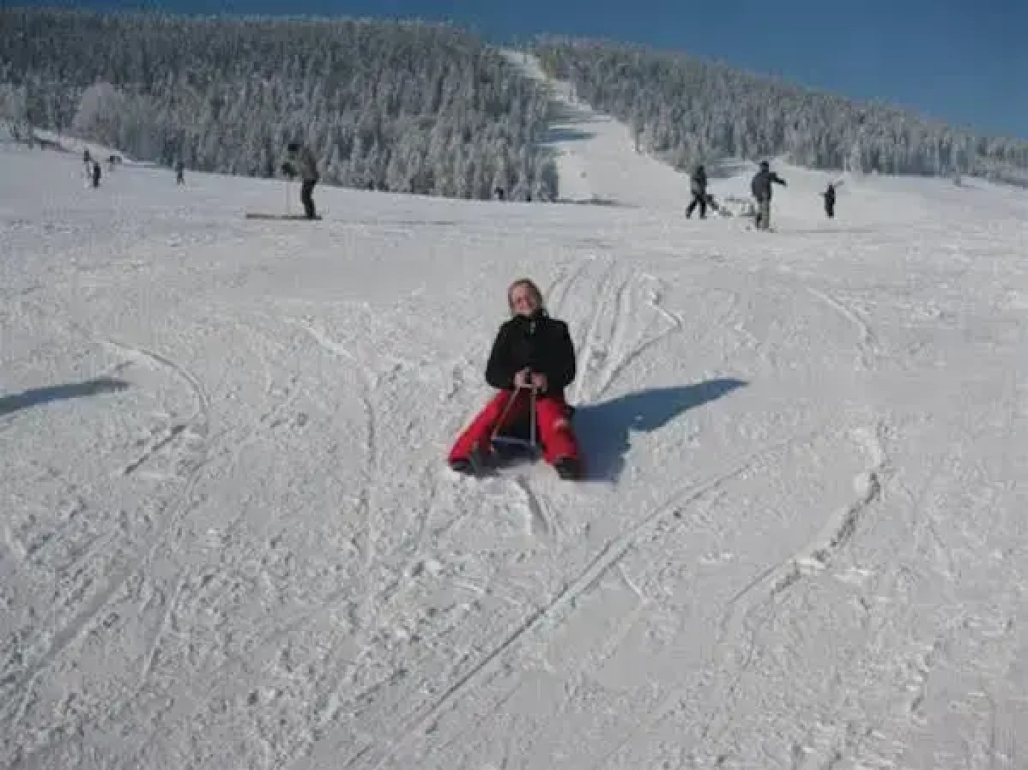 Hotel Restaurant Schwarzes Ross