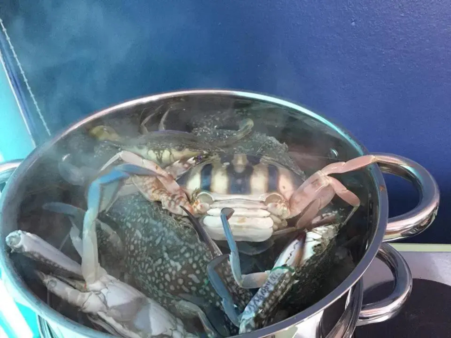 Blue Villa @Pinery Park Beach Rayong 2bdr Villa