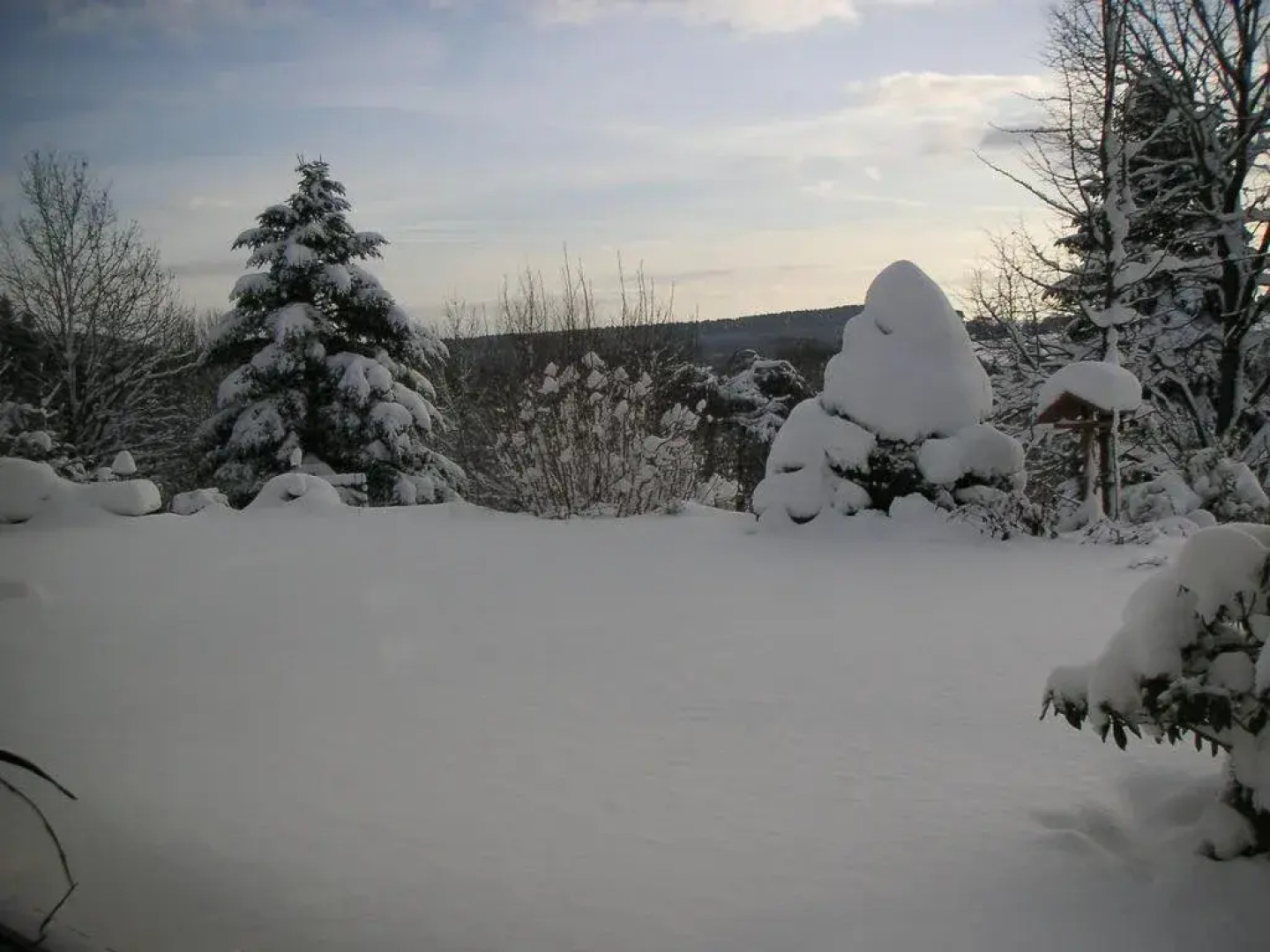 Vital-Wellnesspension