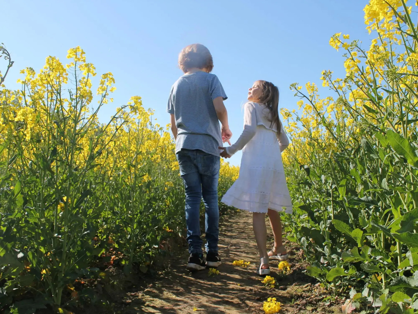 Damshagen Coastal Comfort