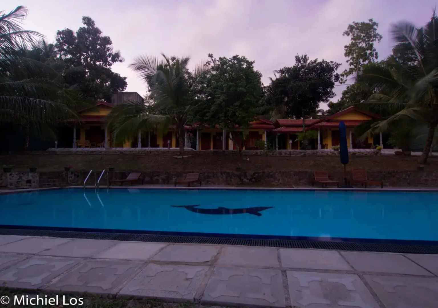 Resort Like No Other