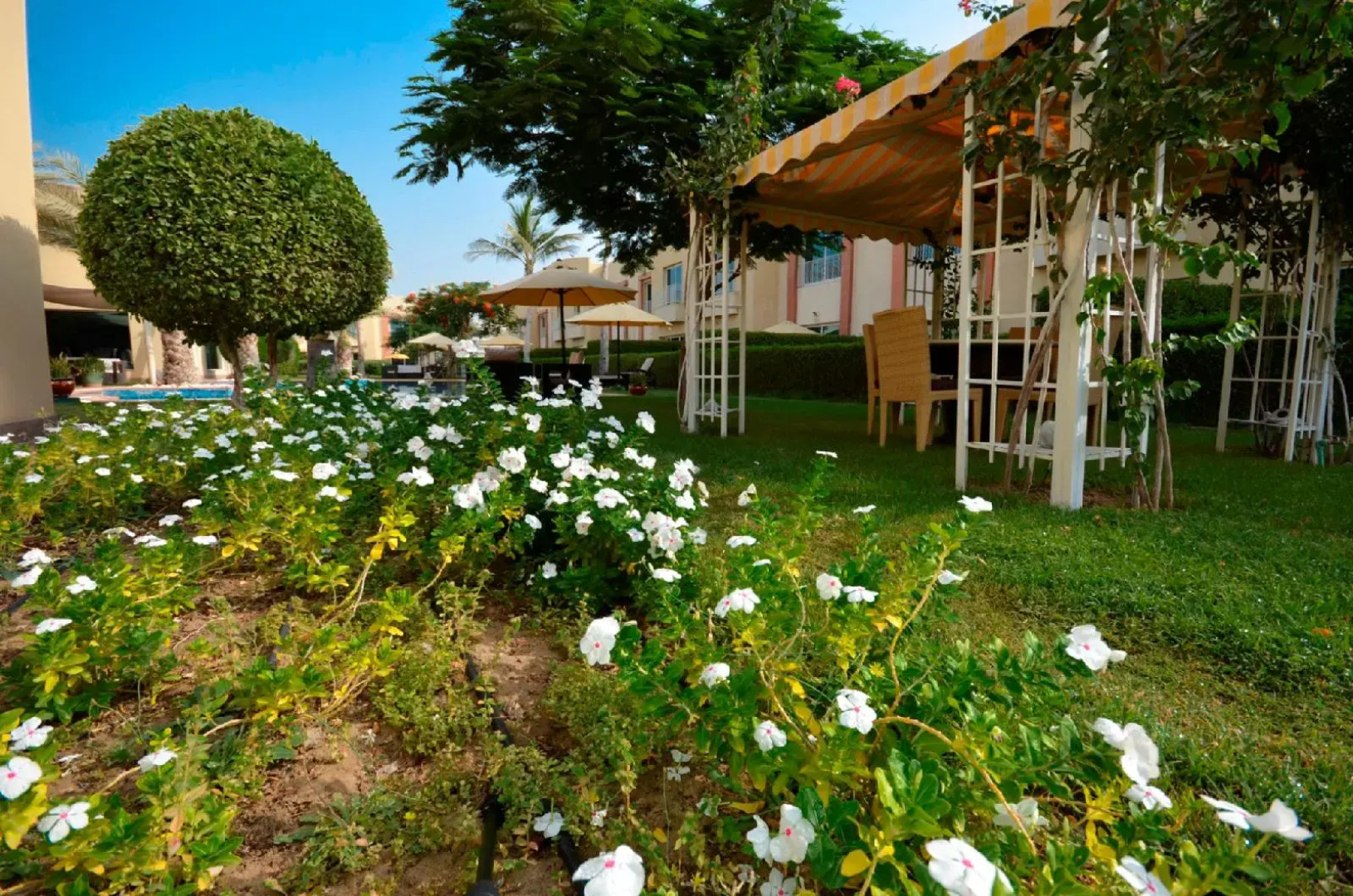 Coral Boutique Villas