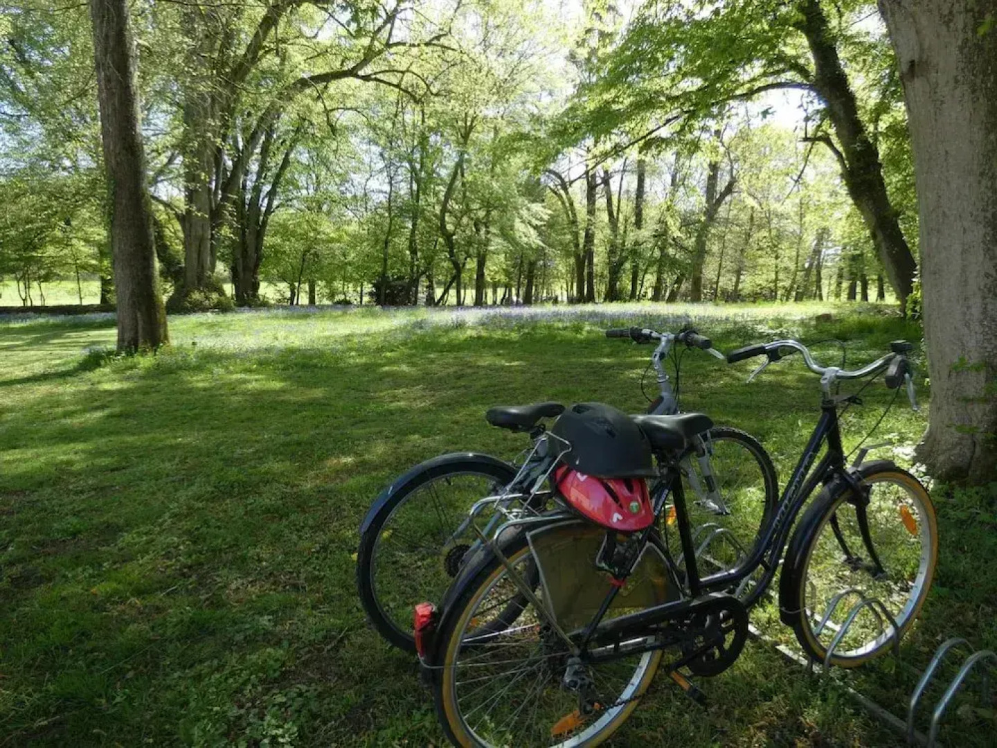 Hotel Le Mans -Domaine De Chatenay- Hotel 3 Etoiles-Hotel De Charme Le Mans