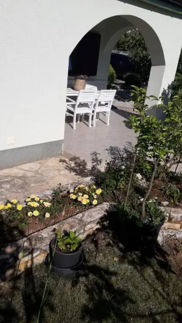 Apartment Green Paradise