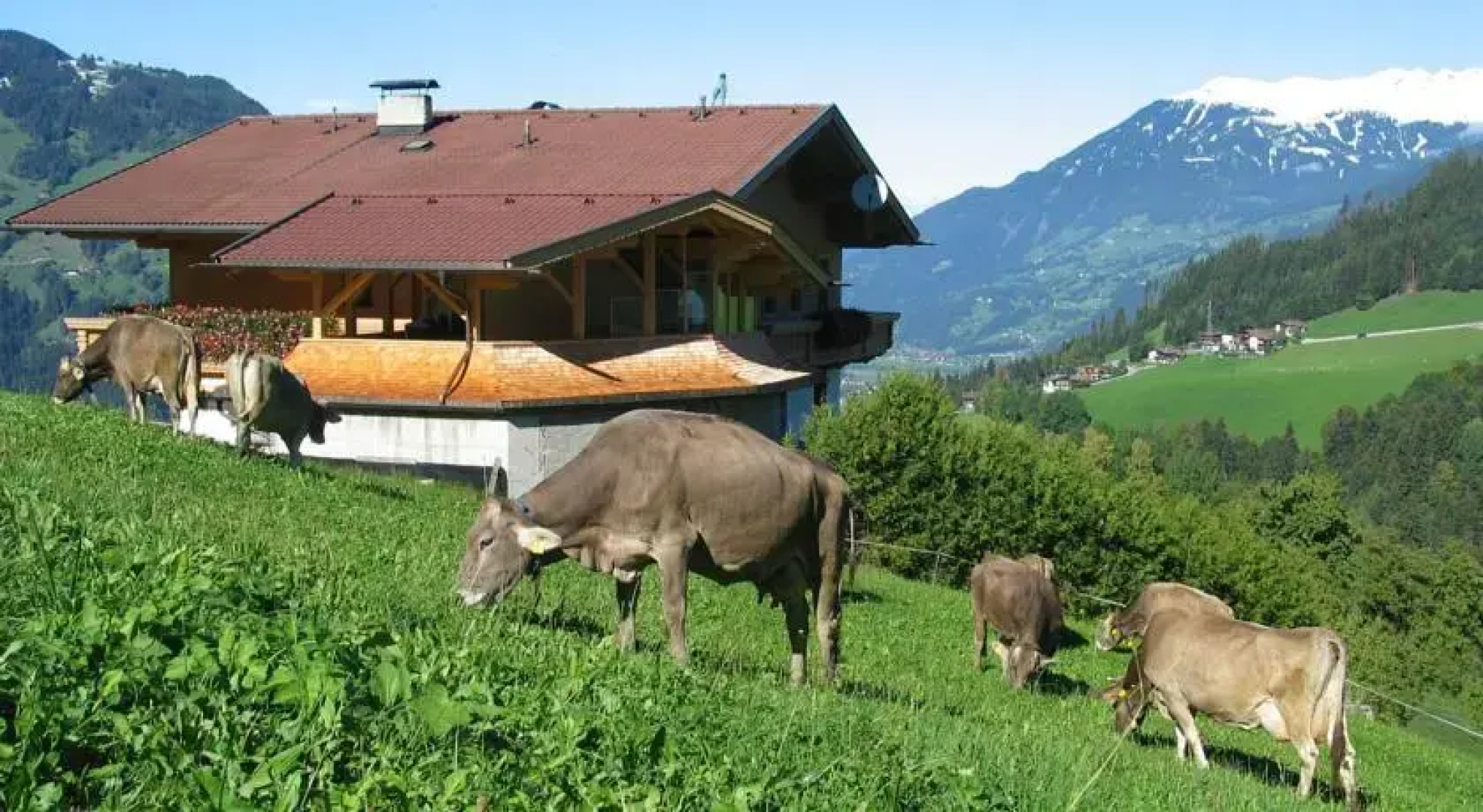 Ferienwohnung Ausblick Zillertal