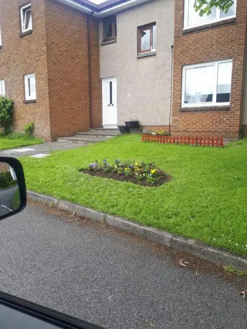 The Nest, Livingston