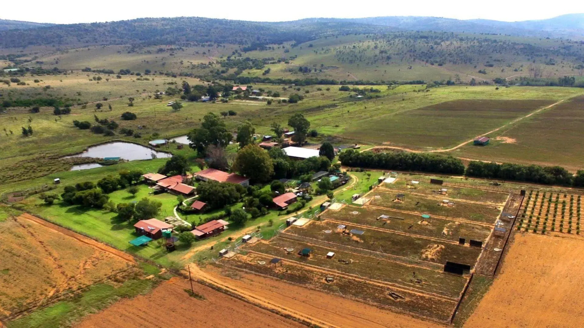 Loebies Guest Farm
