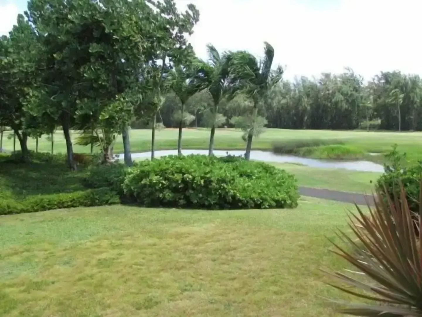Turtle Bay Heliconia**ta-207435366401 1 Bedroom Condo by RedAwning