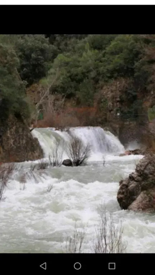 Apartamentos Buena Vista Bajo 1