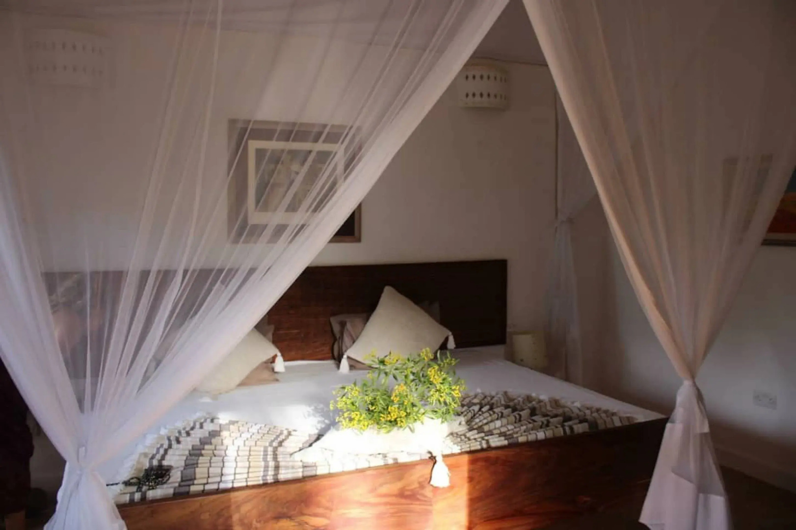 Beach House Michamvi