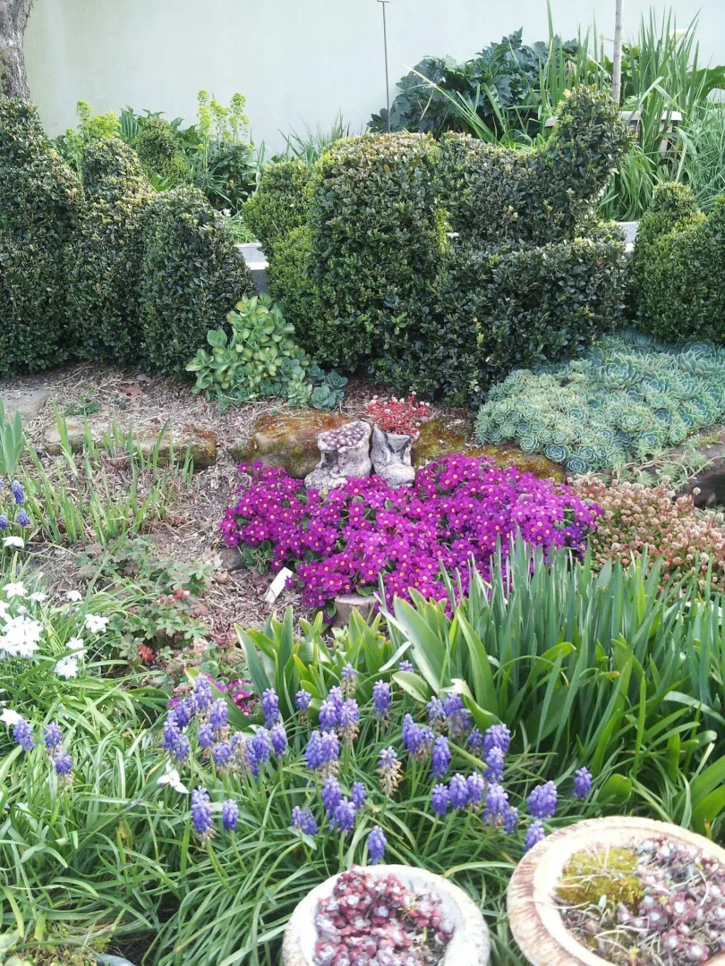 Topiary Haven