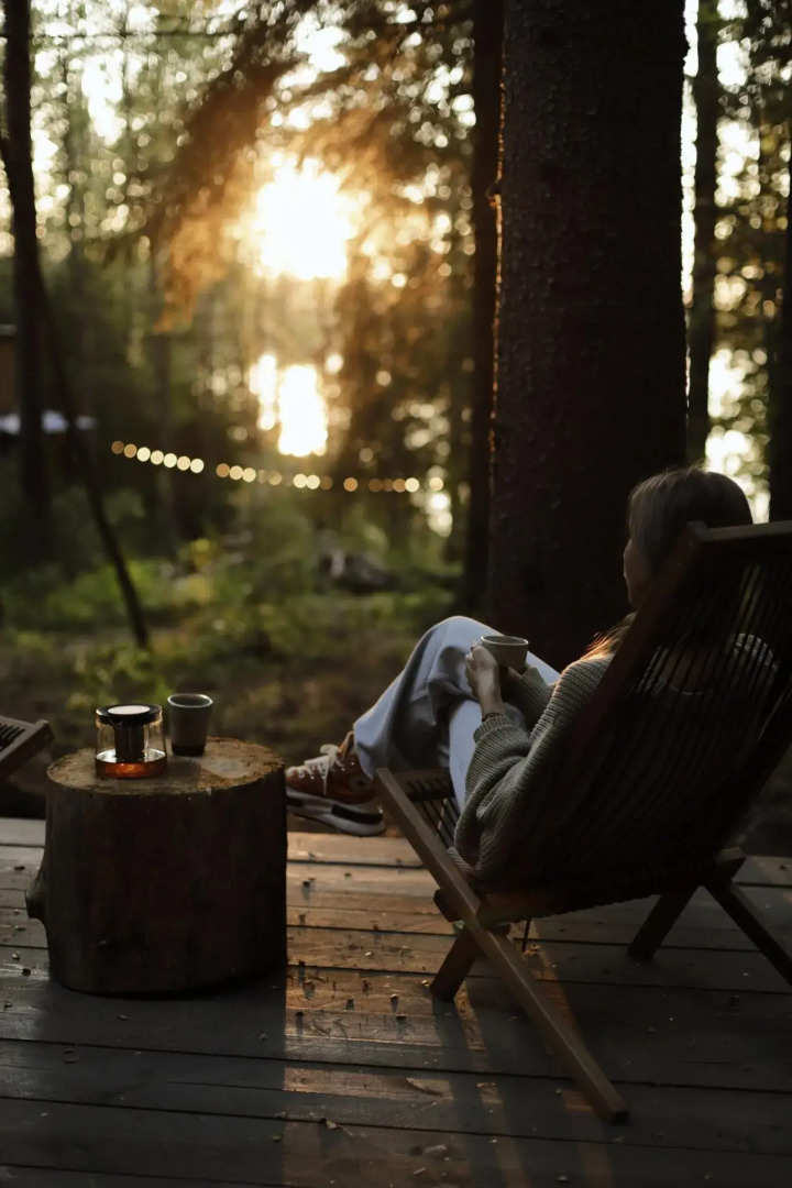 Вили Улей Карелия