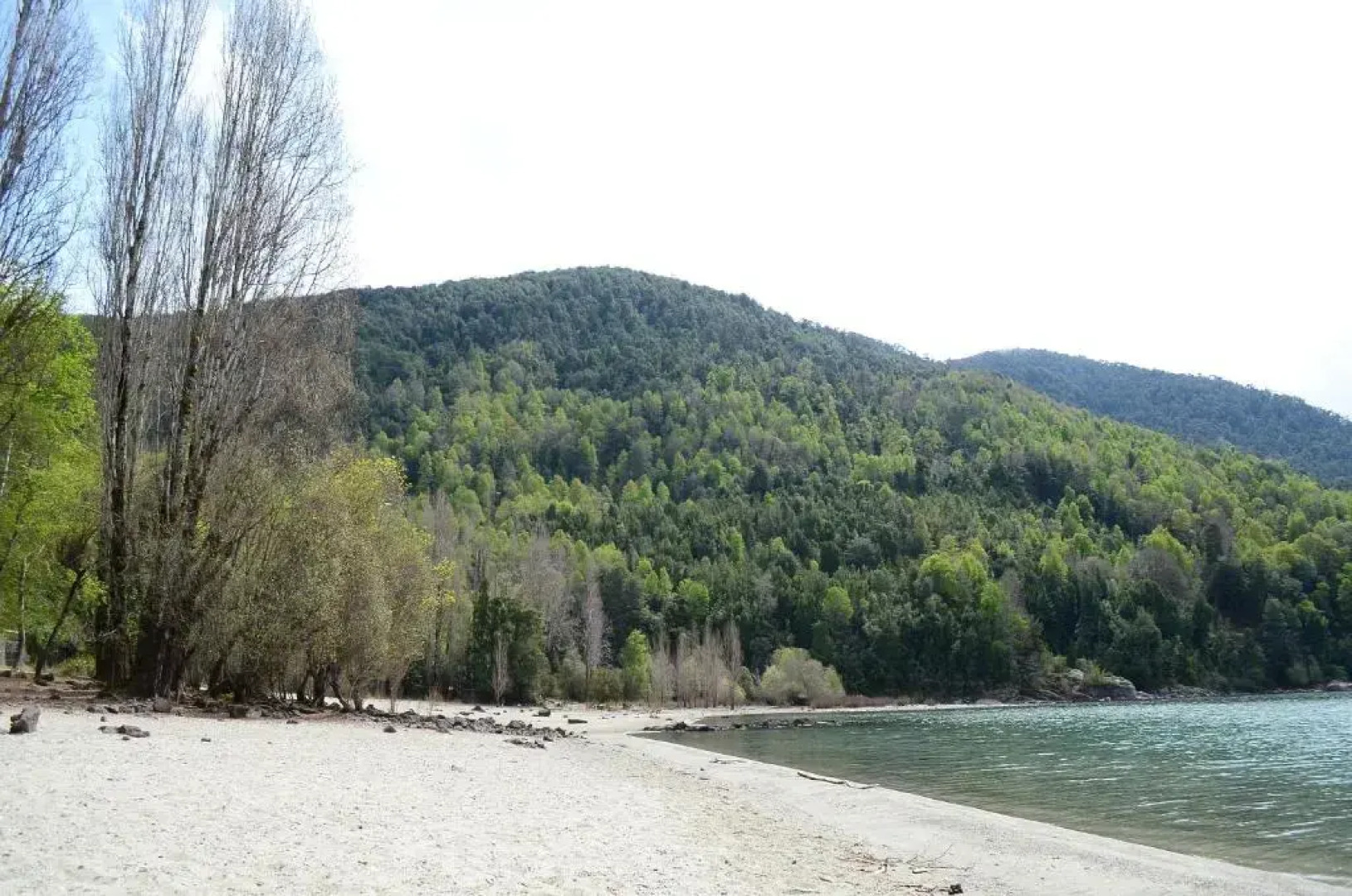 Ecoreserva Quelhue Lodge y Cabañas