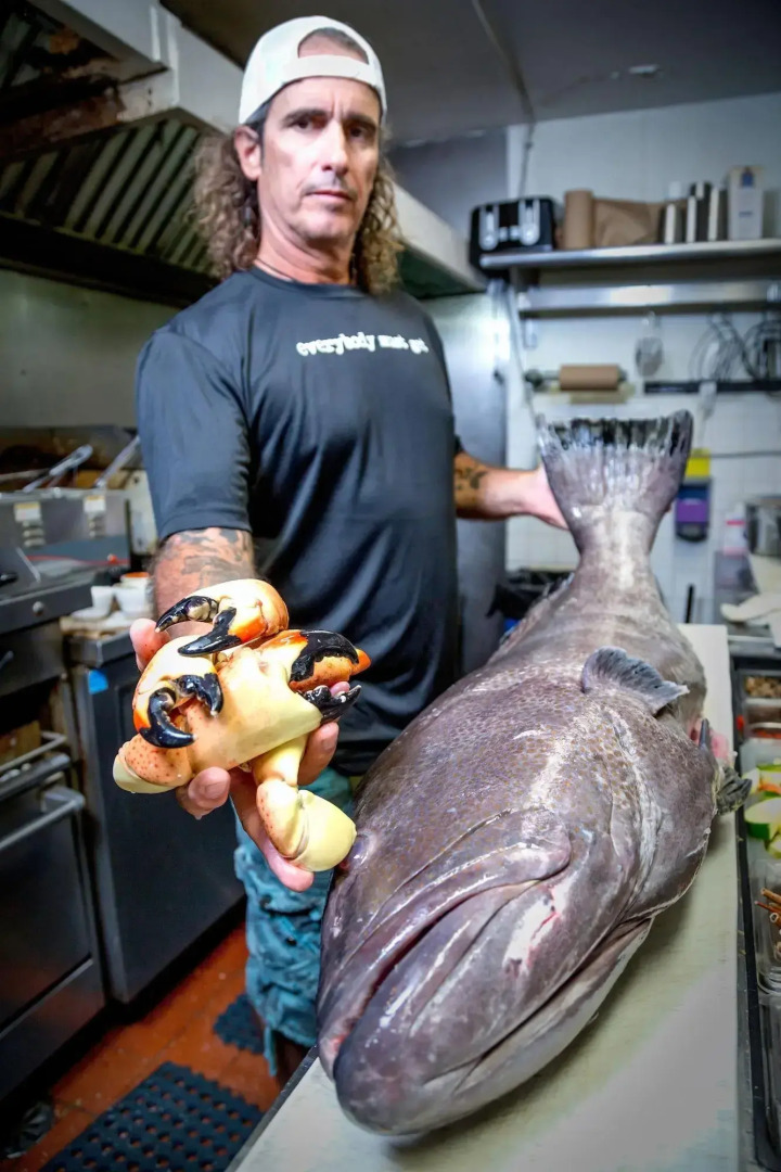 Ibis Bay Beach Resort