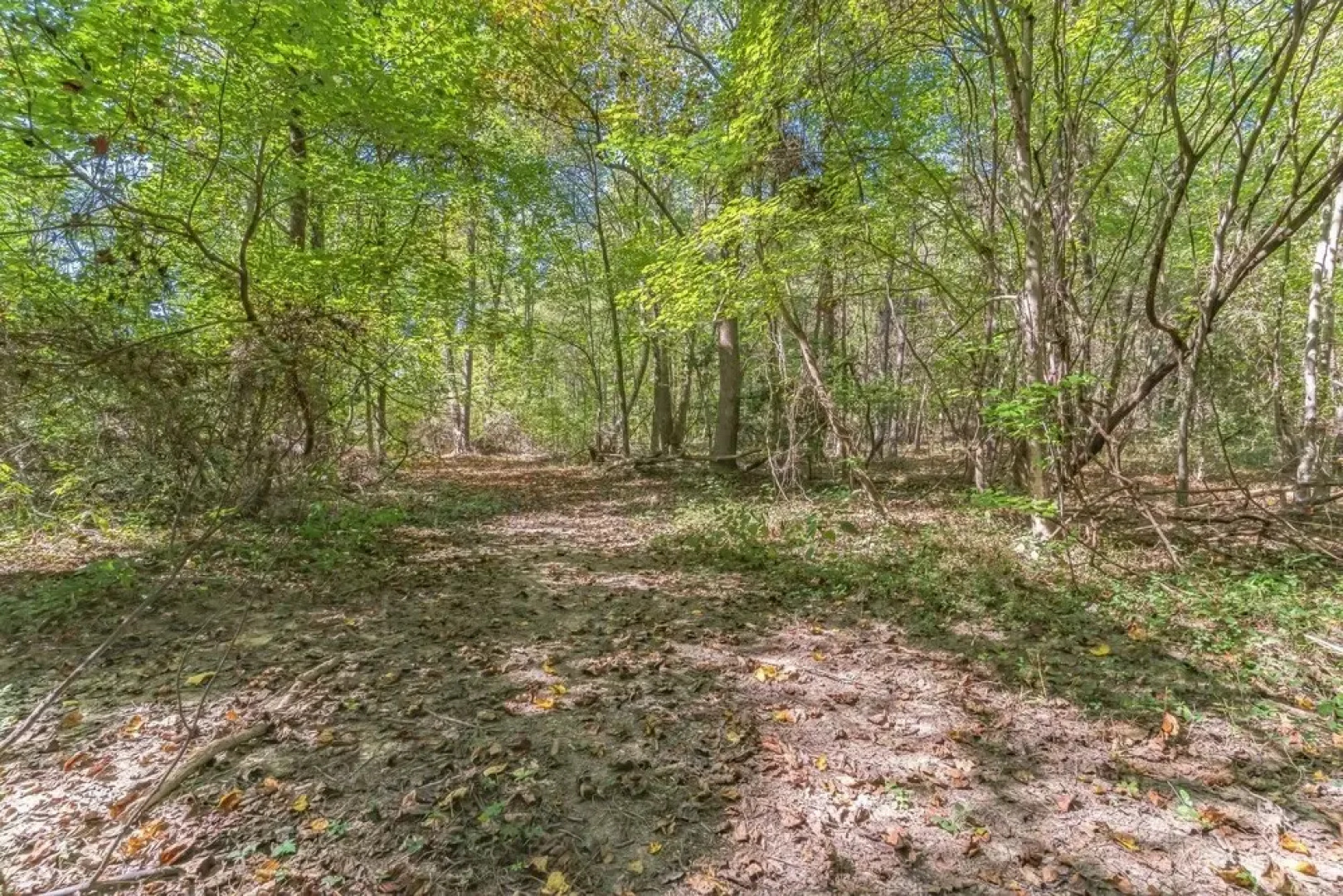 Leo Farm Villa - Beautiful Country Retreat 5 Bedroom Villa by RedAwning