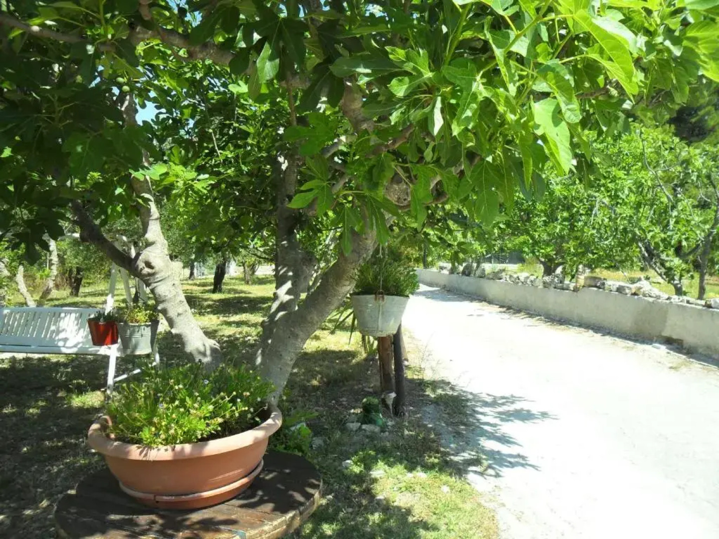 Osteria B&b Il Rifugio