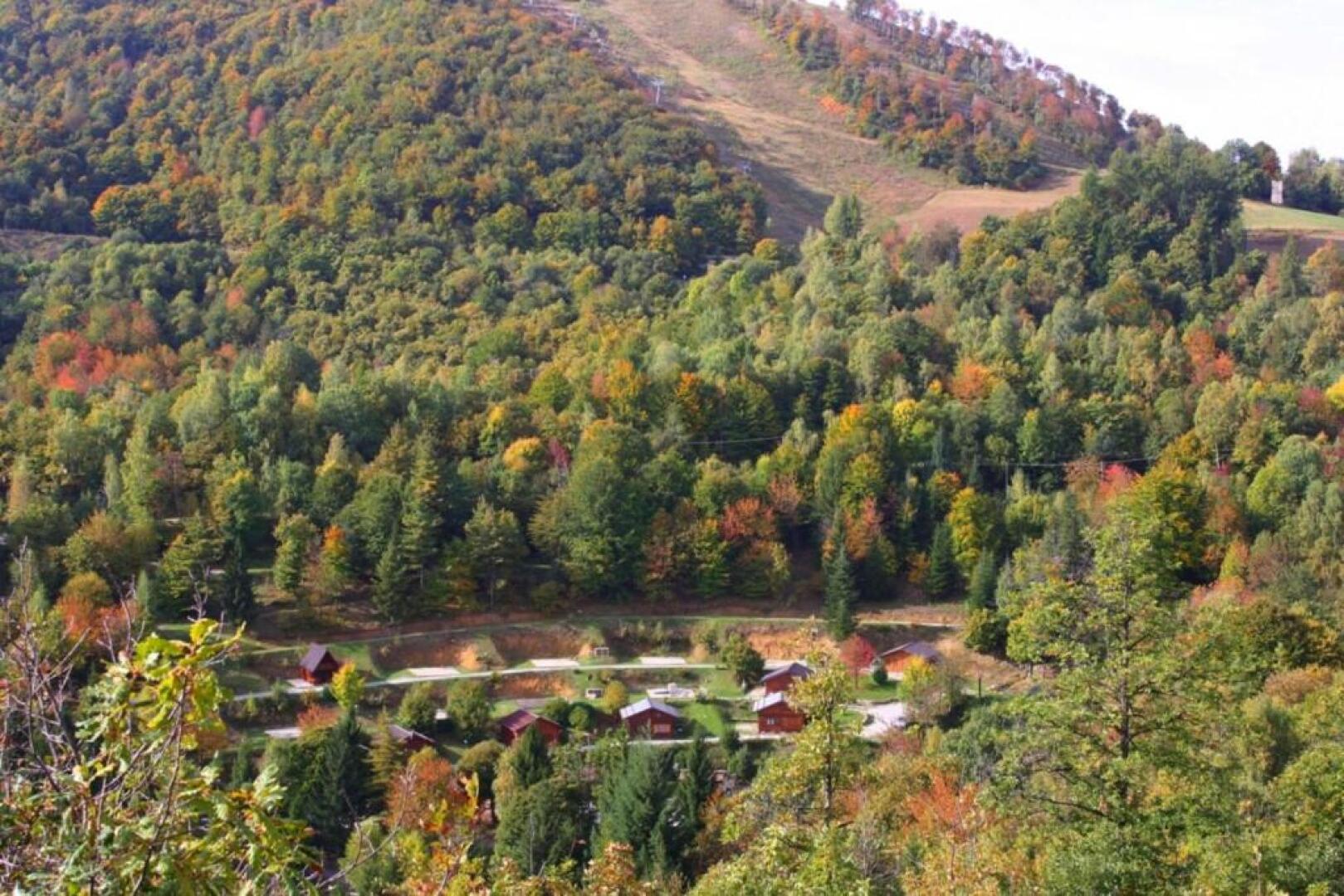 Camping Yoghi e Bubu