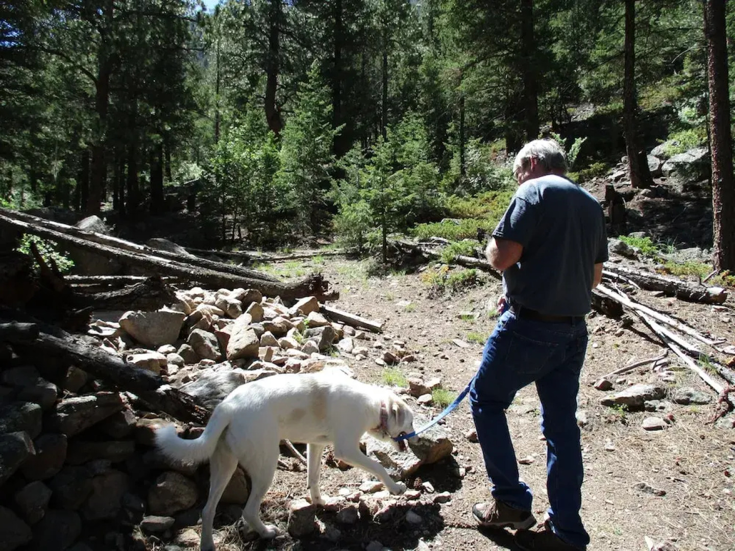 Lawson Adventure Yurts