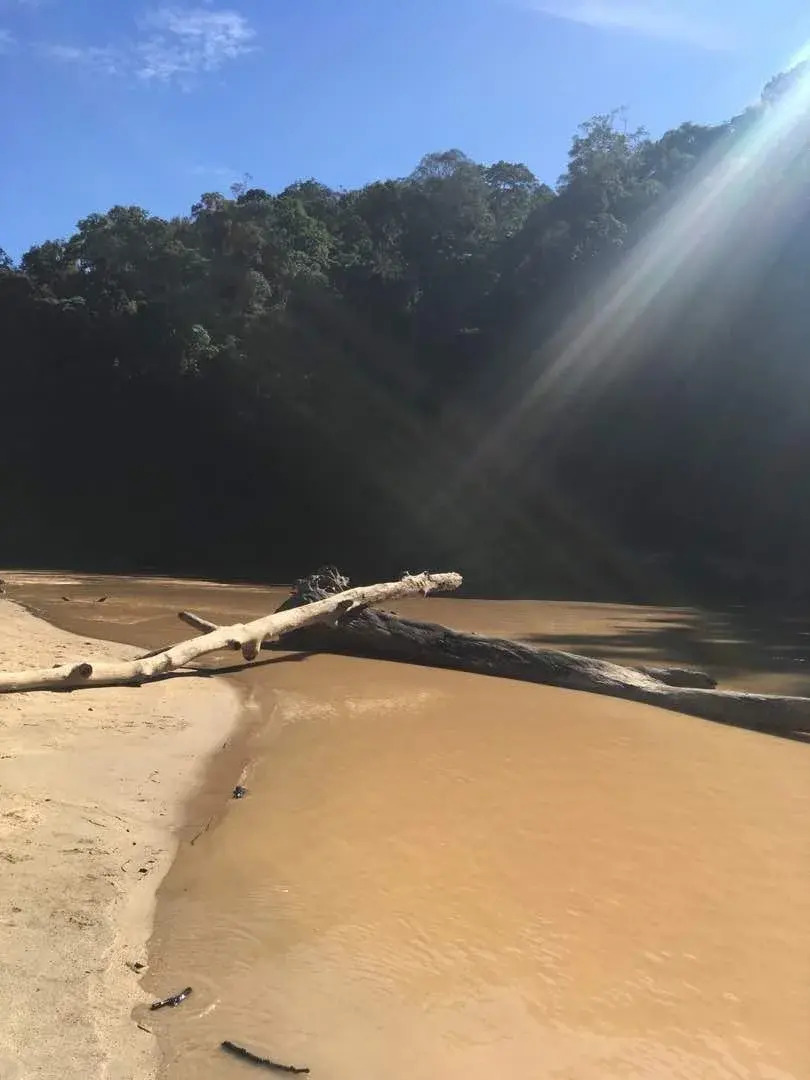 Agosto Taman Negara Hostel
