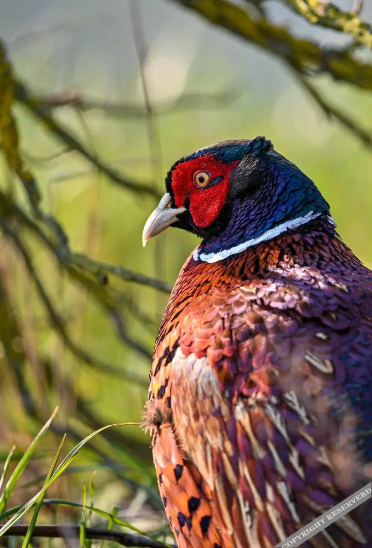 Your Nature Eco Resort