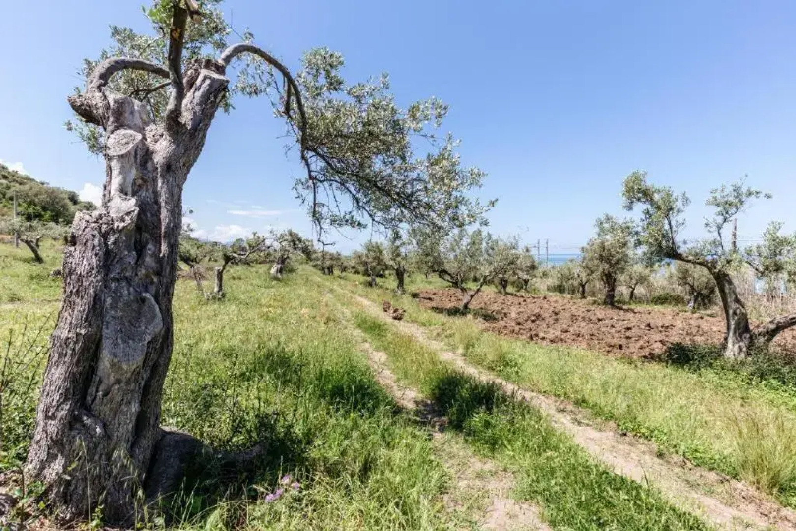 Villa Lorenza Private beach