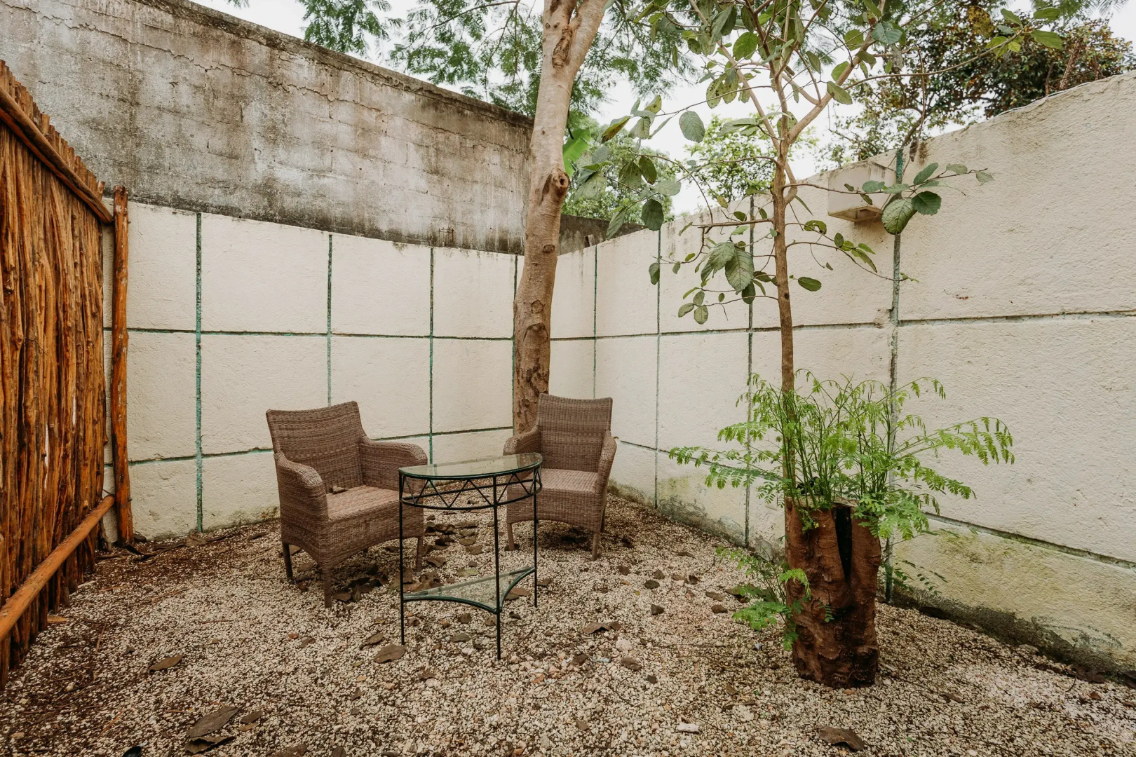 Waye Valladolid Centro – Sustainable, Authentic Experiences & Pet Friendly Boutique Hotel