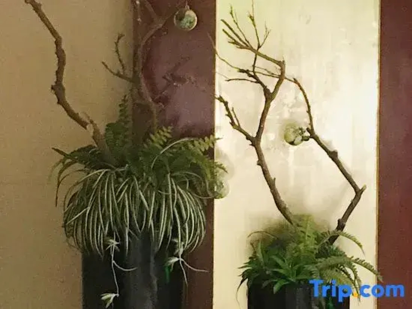 Tiantai Hot Spring Resort