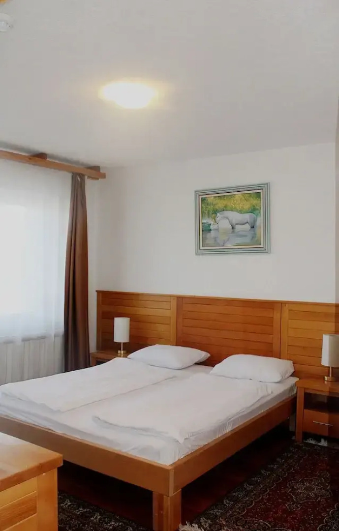 Hotel Borovi Sjenica