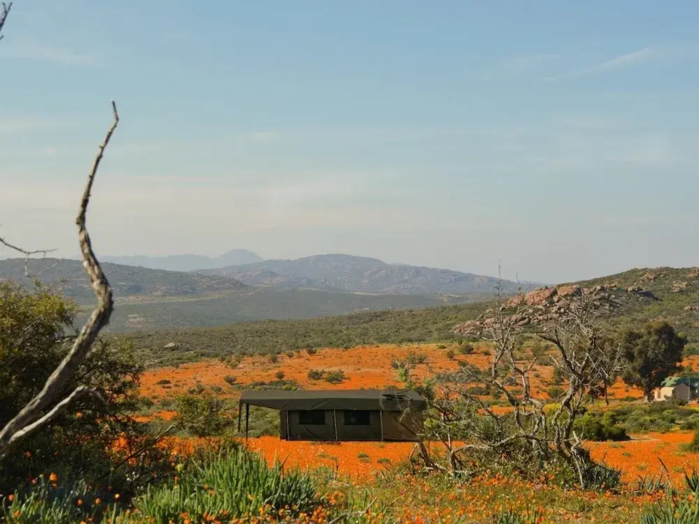 Chiefs - Namaqua Flower Camps