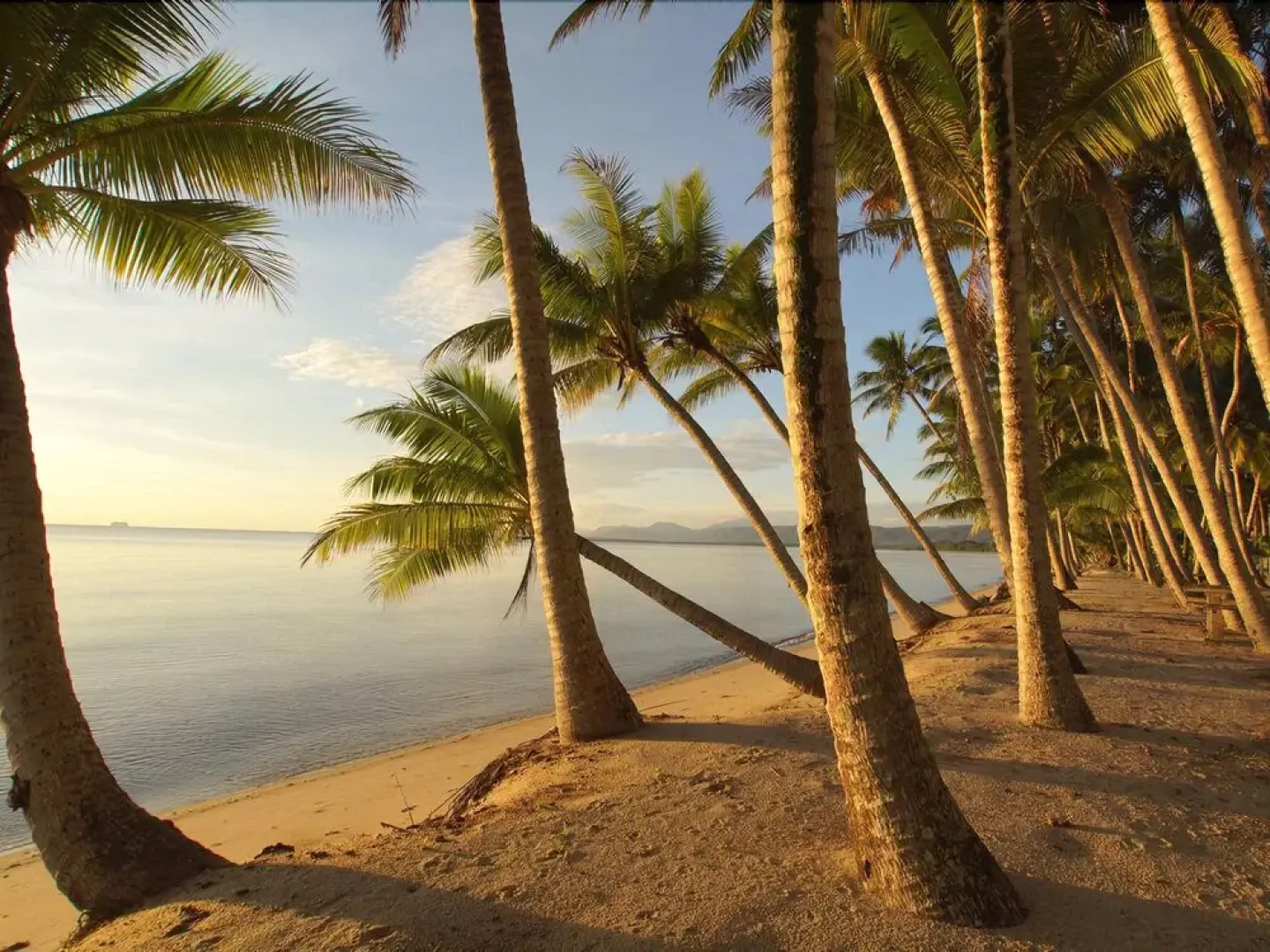 Absolute on Newell Luxury Beach House
