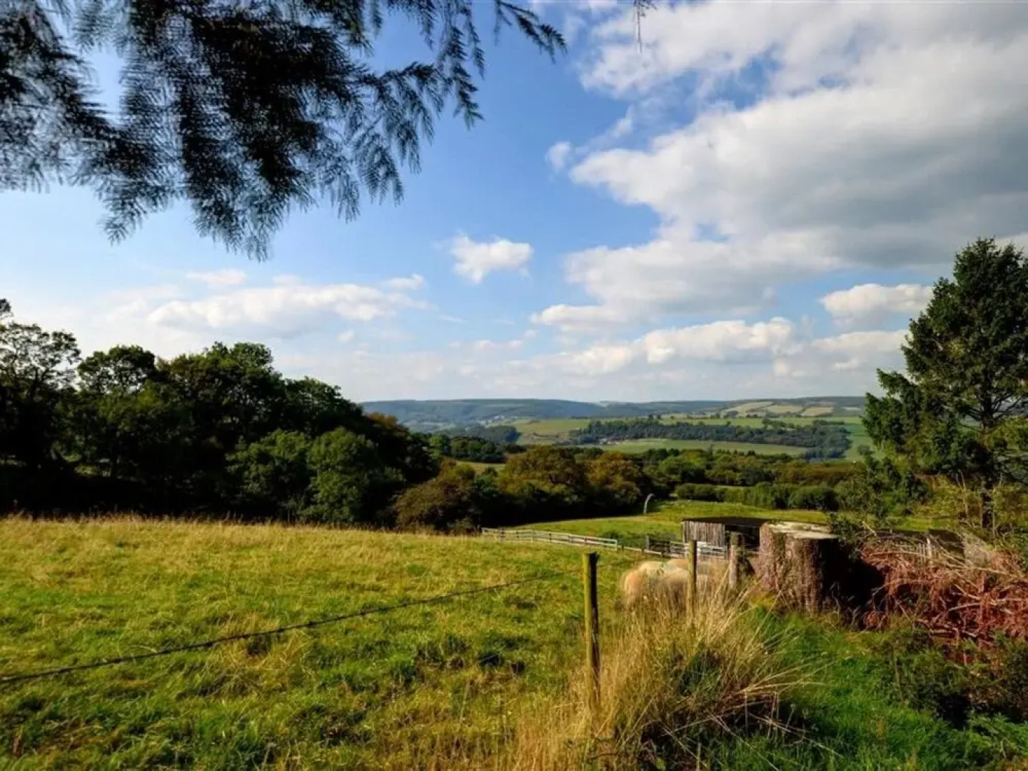 Chic Holiday Home in Talley With Garden