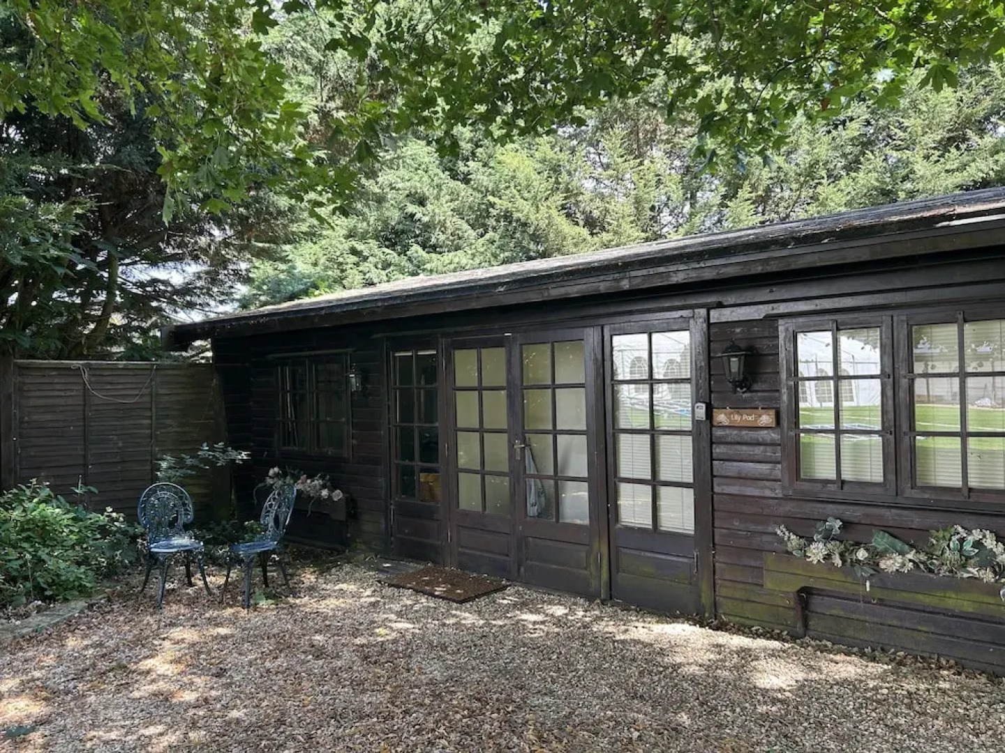 Lily Pad by Paymán Club