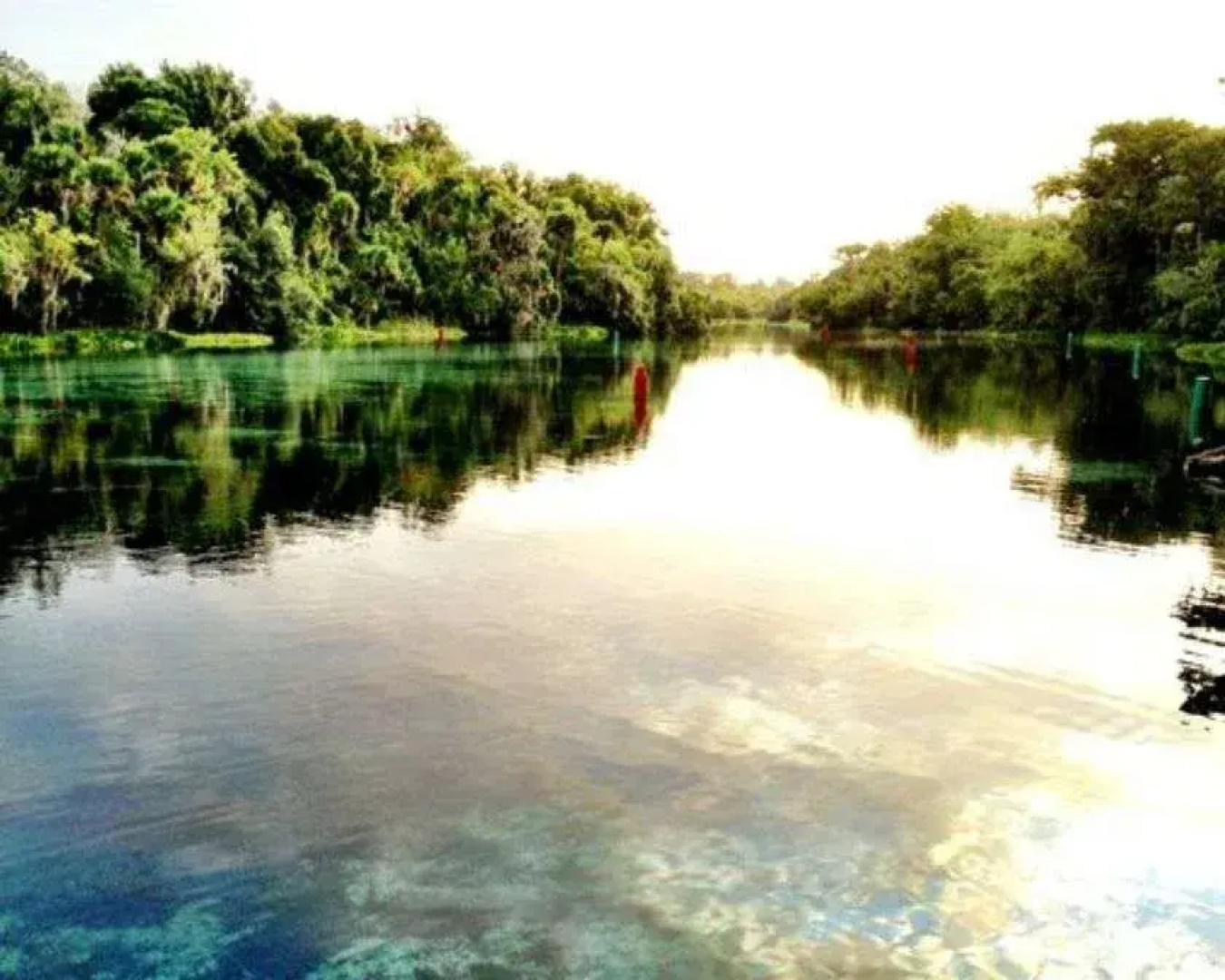 Grand Lakefront Resort Club Usa / Holly Bluff Mari