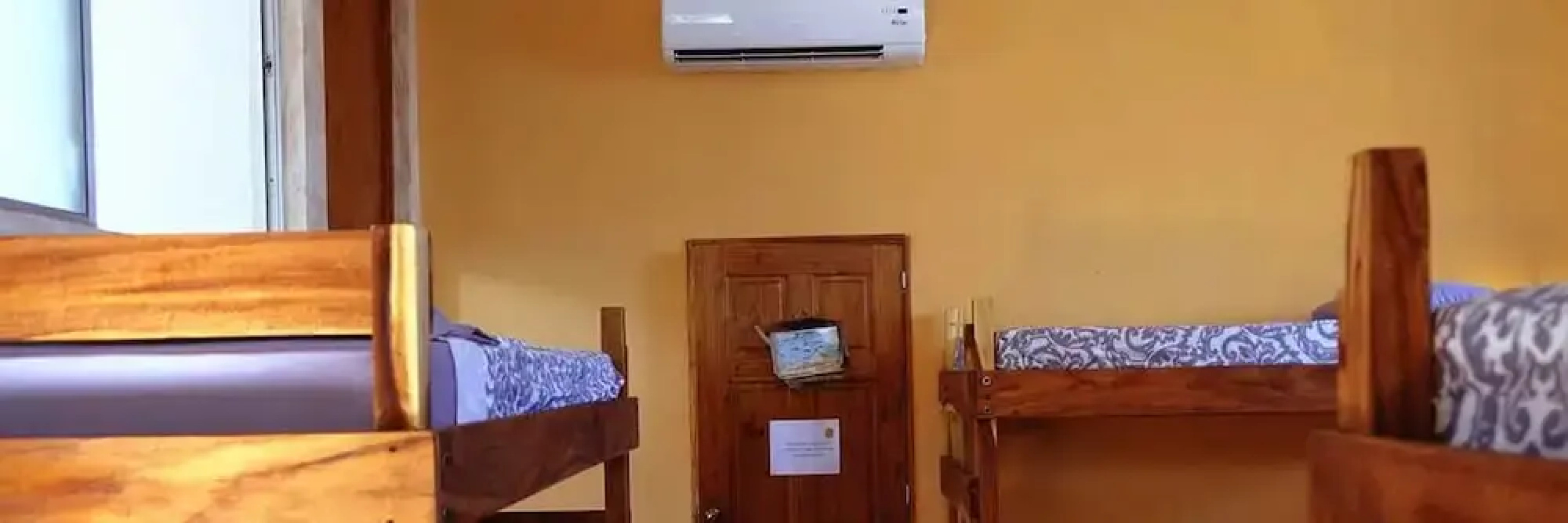 The Driftwood Surfer