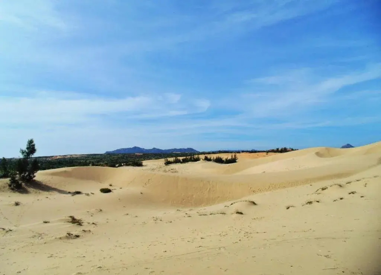 INRA Champa Homestay