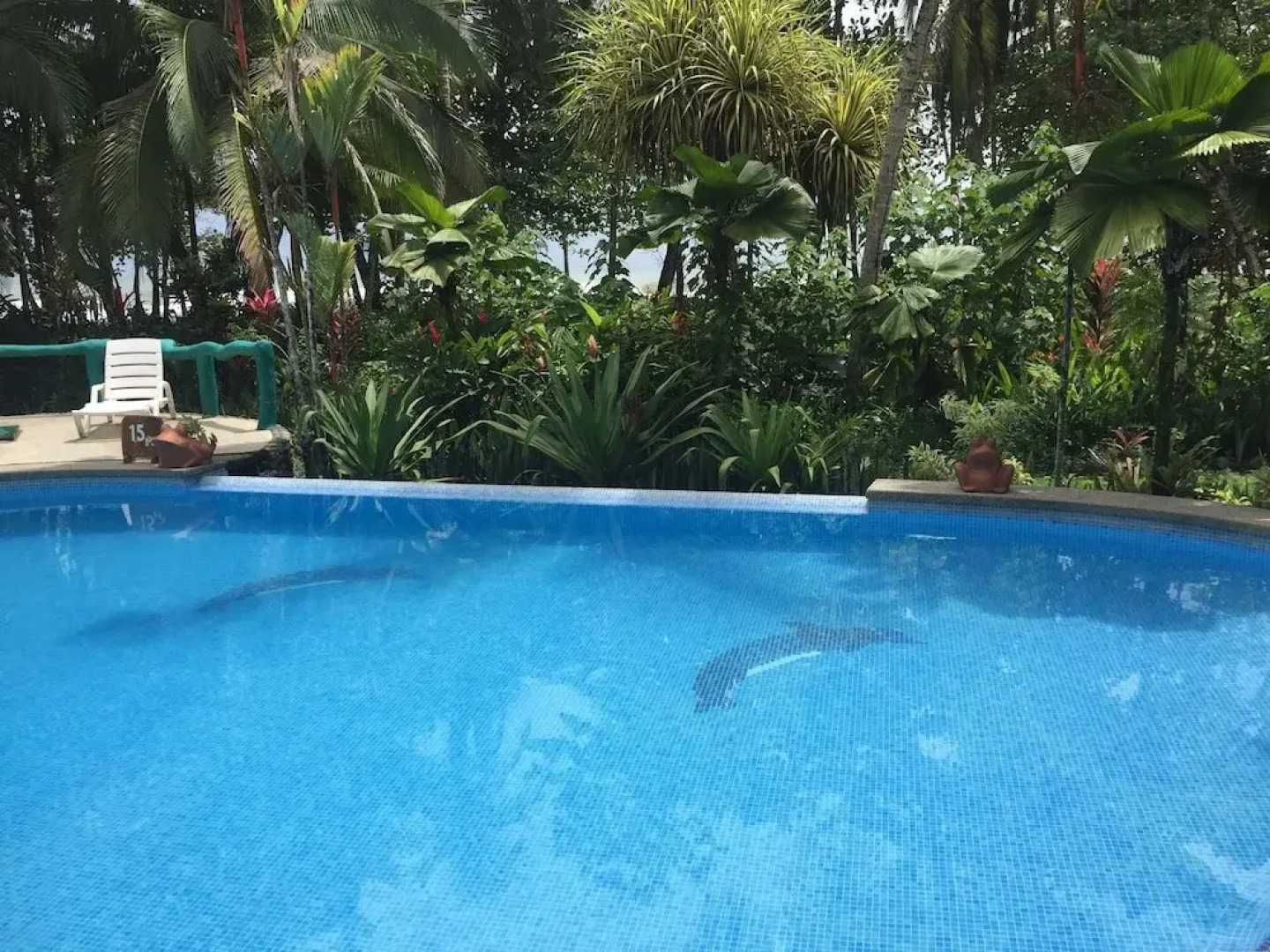 La Diosa Nature Lodge