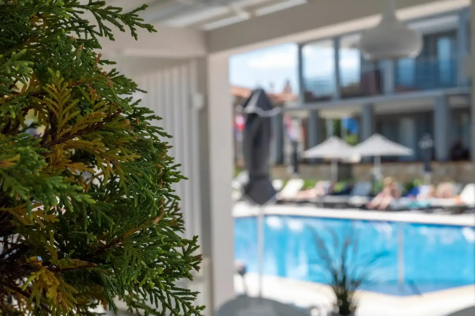 Dionysos Hotel & Suites