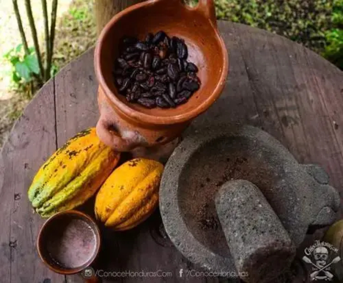 Cabañas Finca Santa Martha