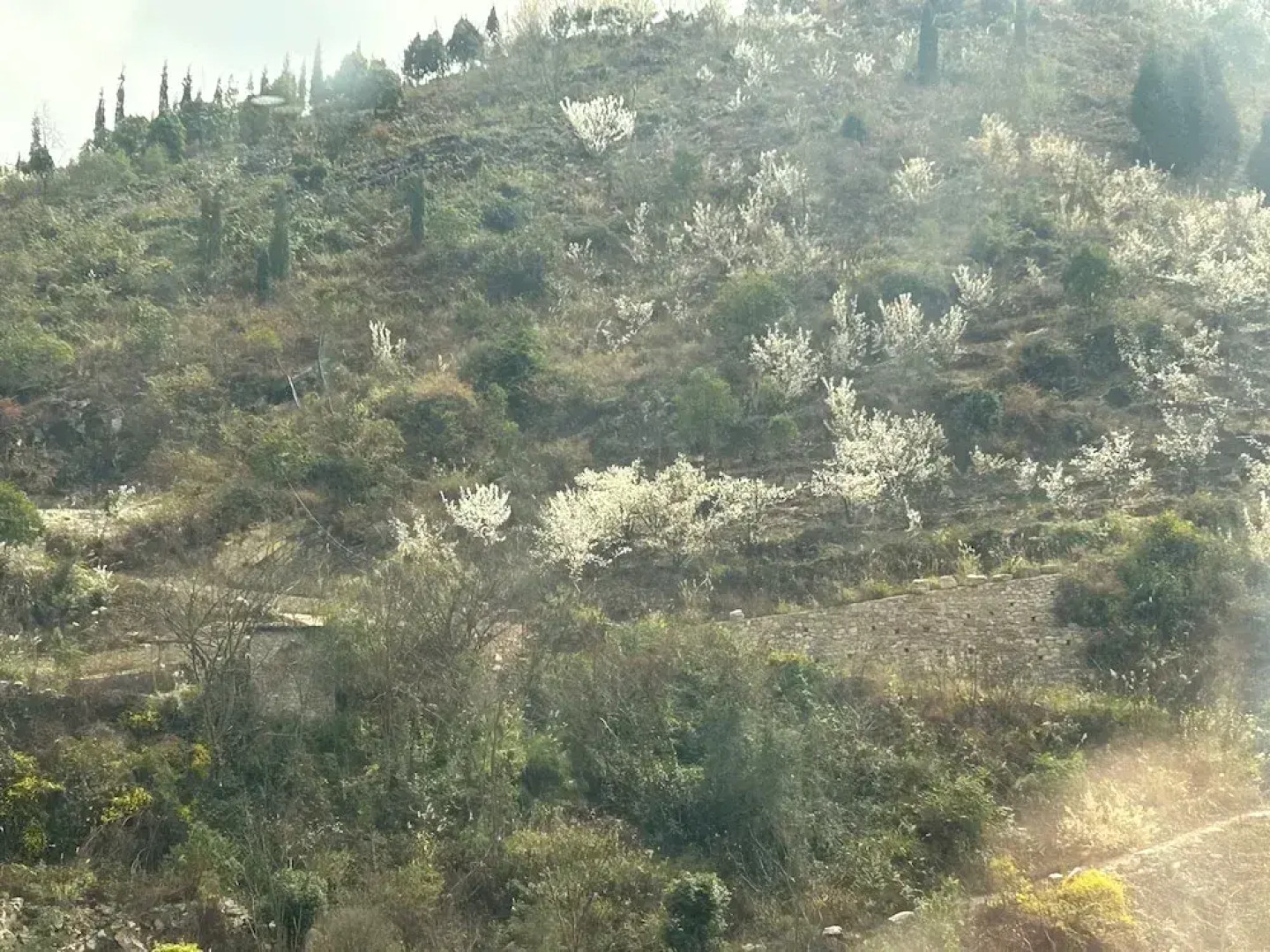 Tianjiao Holiday Hotel