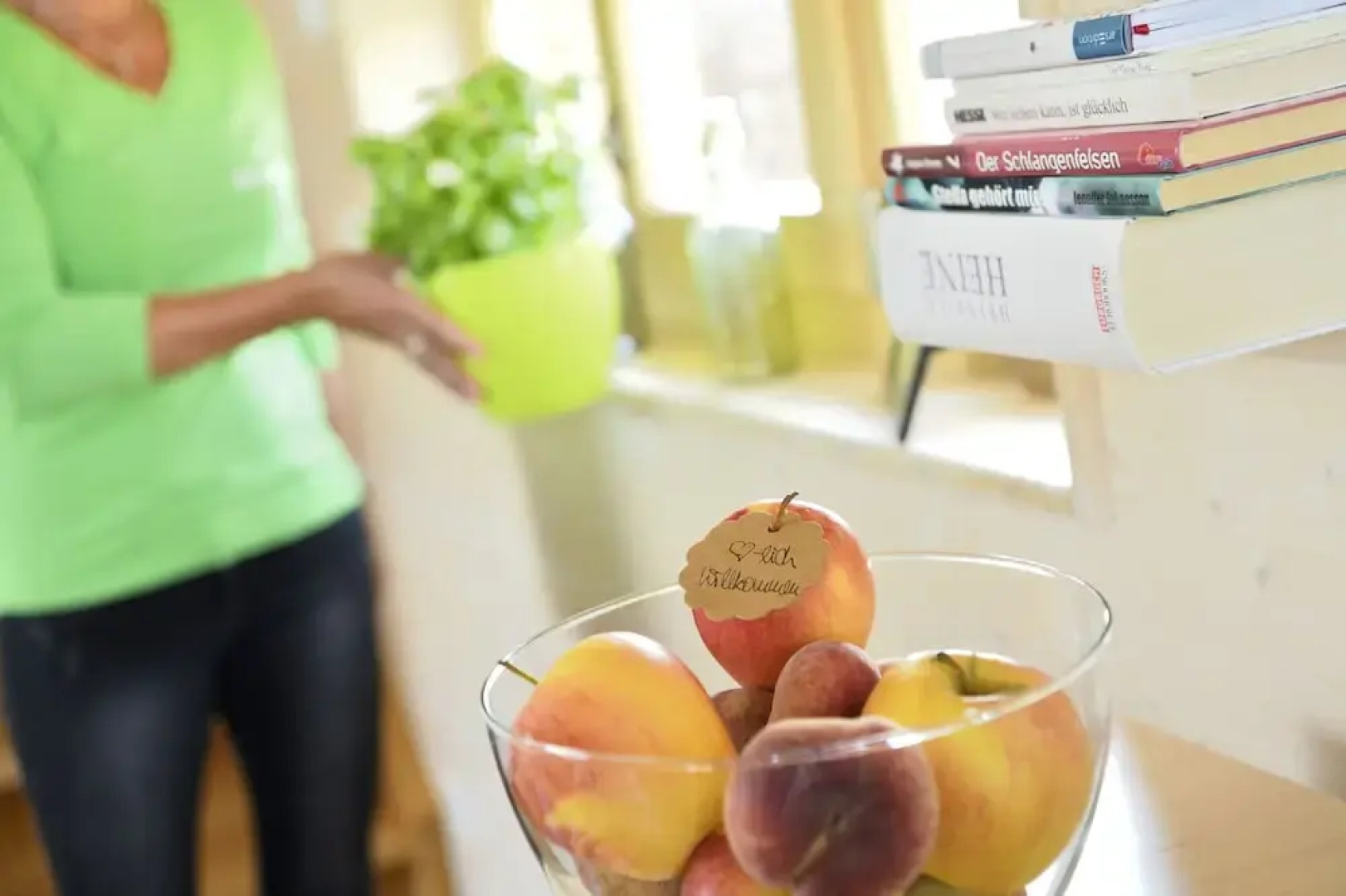 Hainichhöfe Premiumchalets