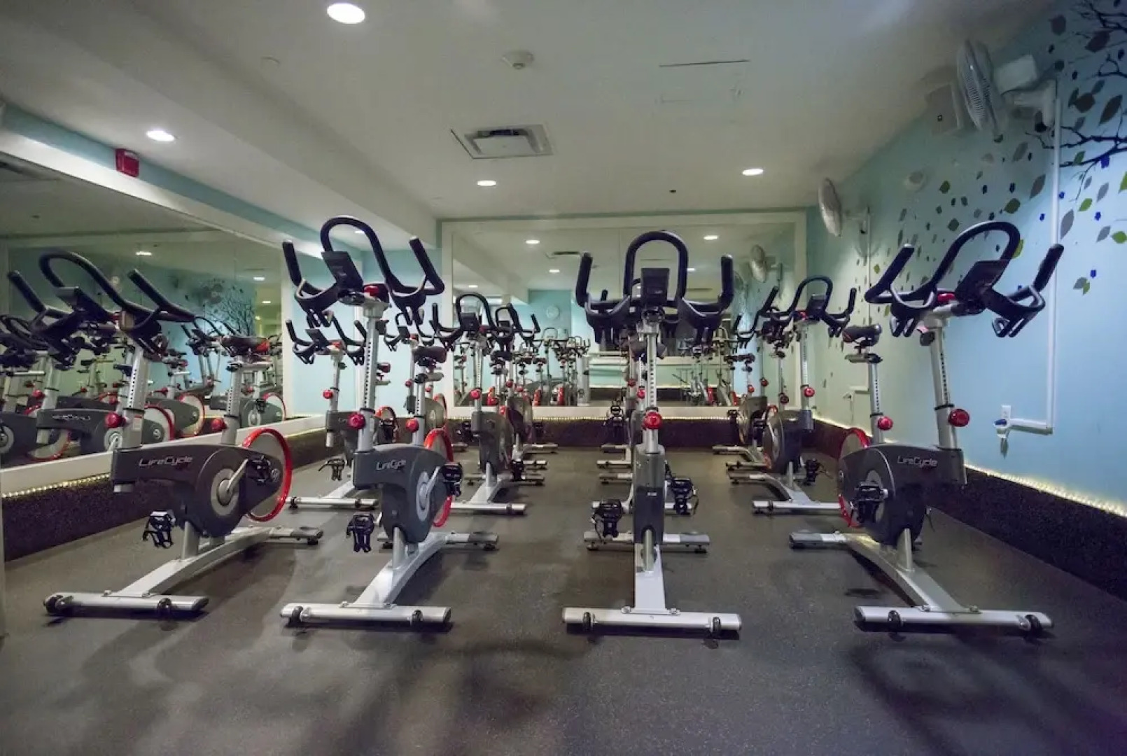 Mansion House Inn And Spa