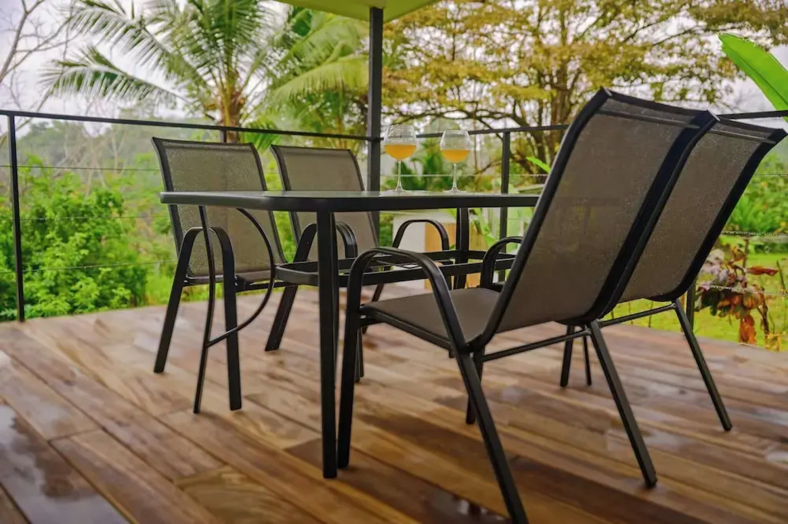 Villa Bruno - Terrace - Jungle - Birdwatching